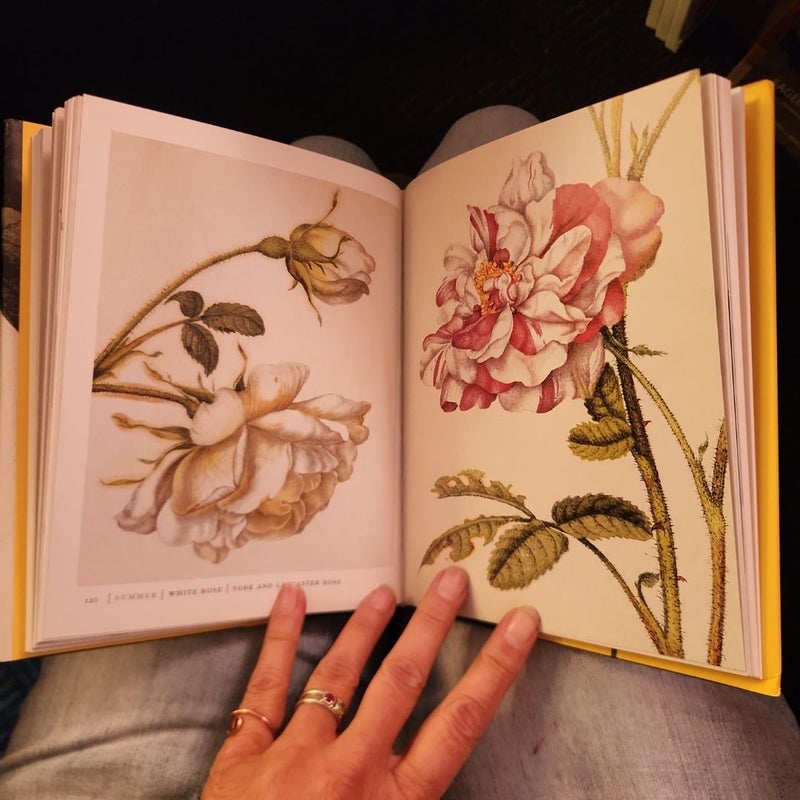 Mr. Marshal's Flower Book