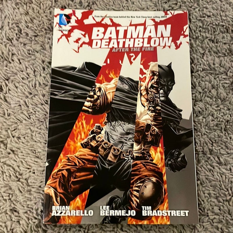 Batman/Deathblow: after the Fire