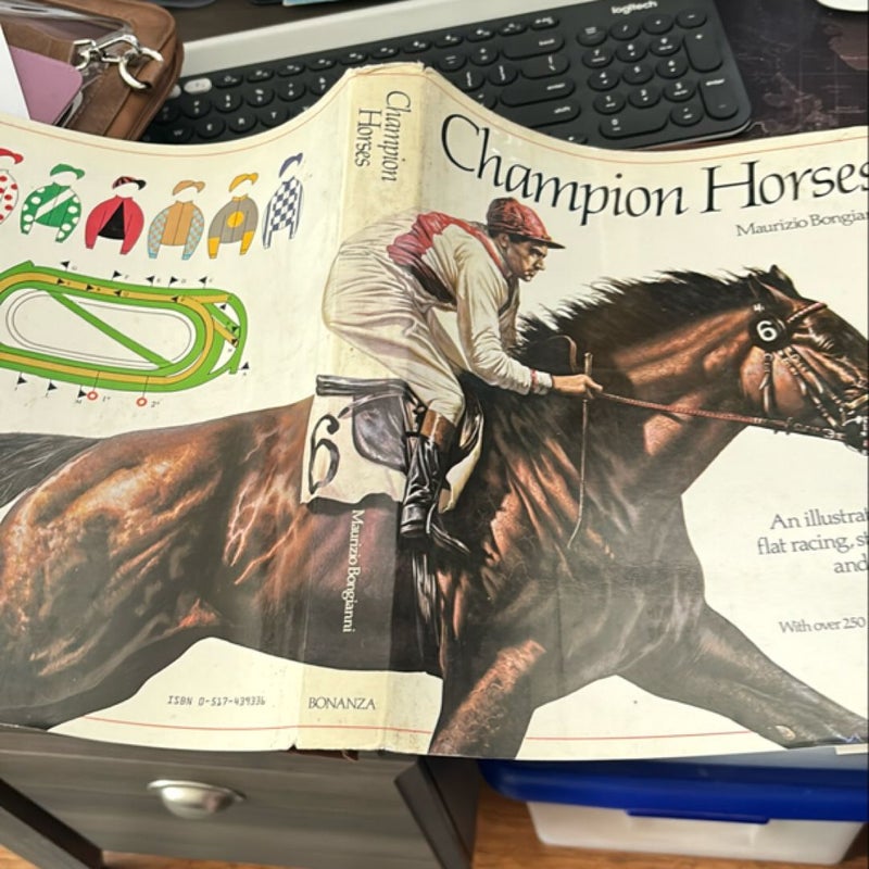 Champion Horses