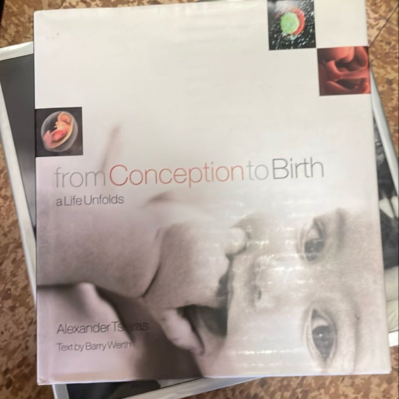 From Conception to Birth