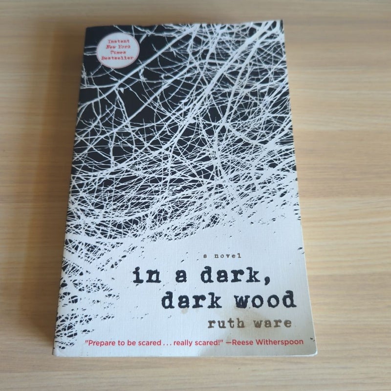 In a Dark, Dark Wood