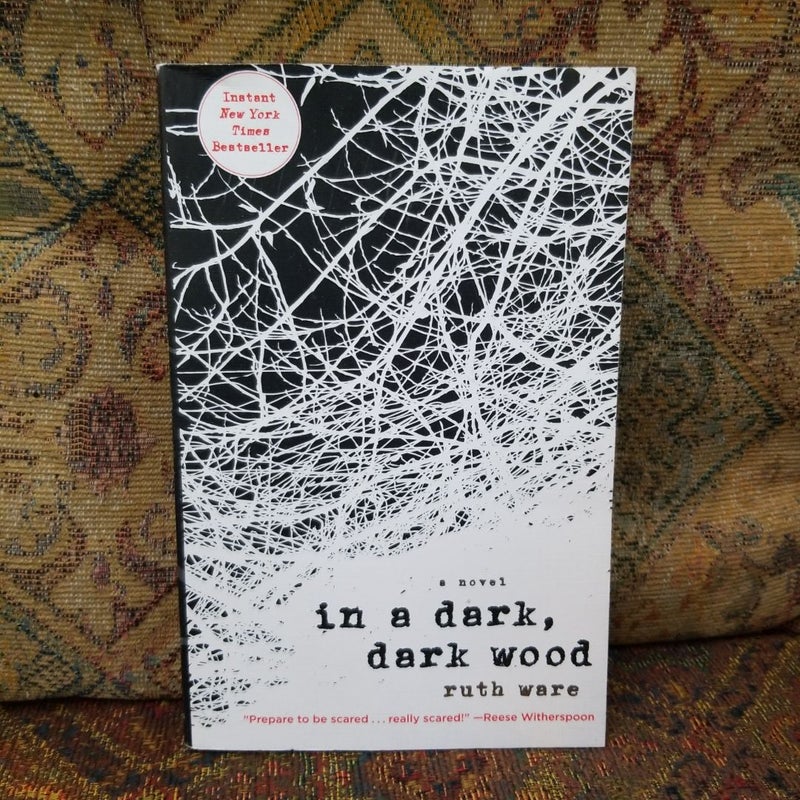 In a Dark, Dark Wood