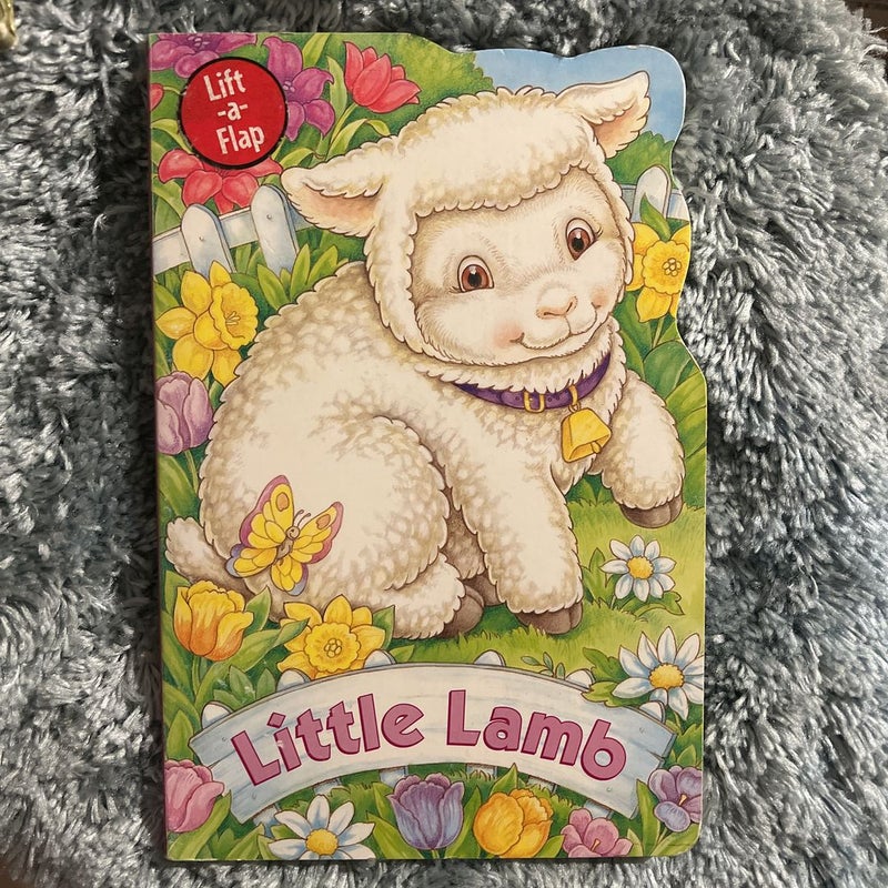 Little lamb 