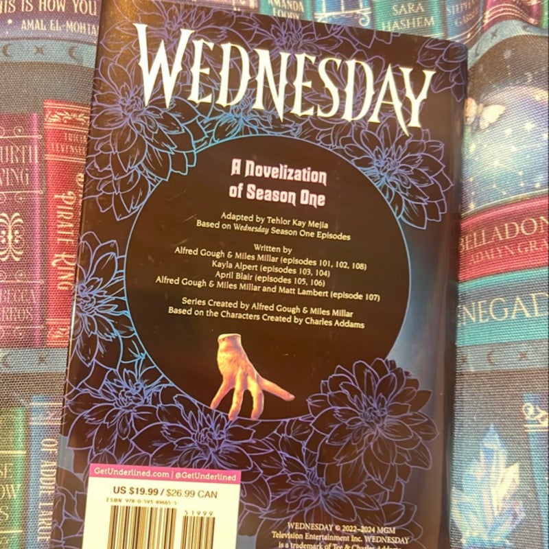 Wednesday: a Novelization of Season One