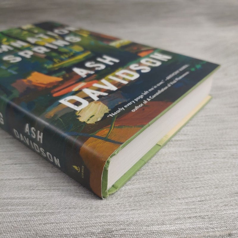 Damnation Spring (First ed)