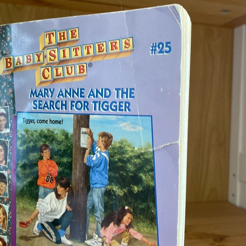 The Babysitters Club BUNDLE