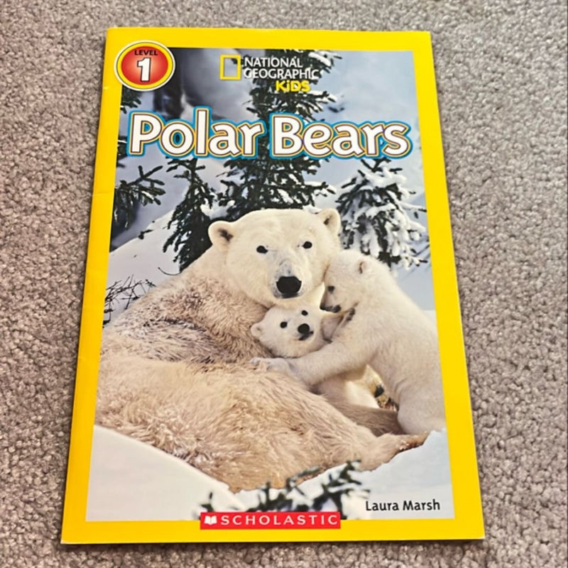 Polar Bears