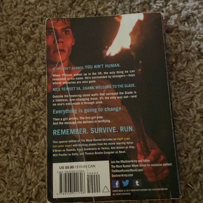 The Maze Runner