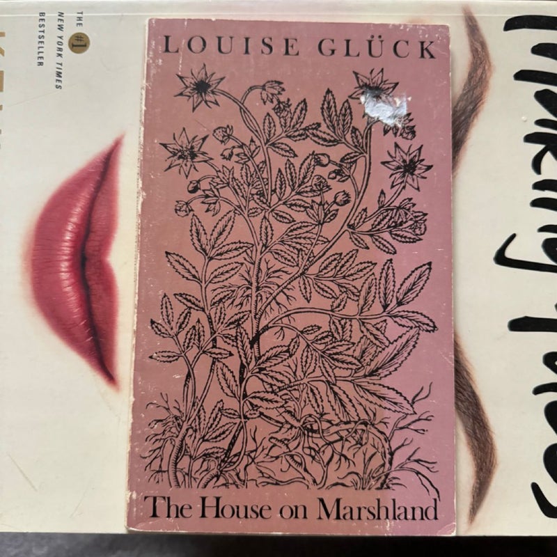 The House on Marshland