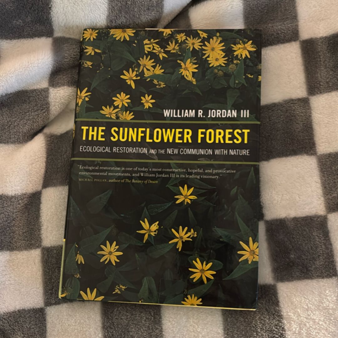 The Sunflower Forest