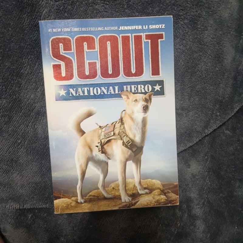 Scout: National Hero