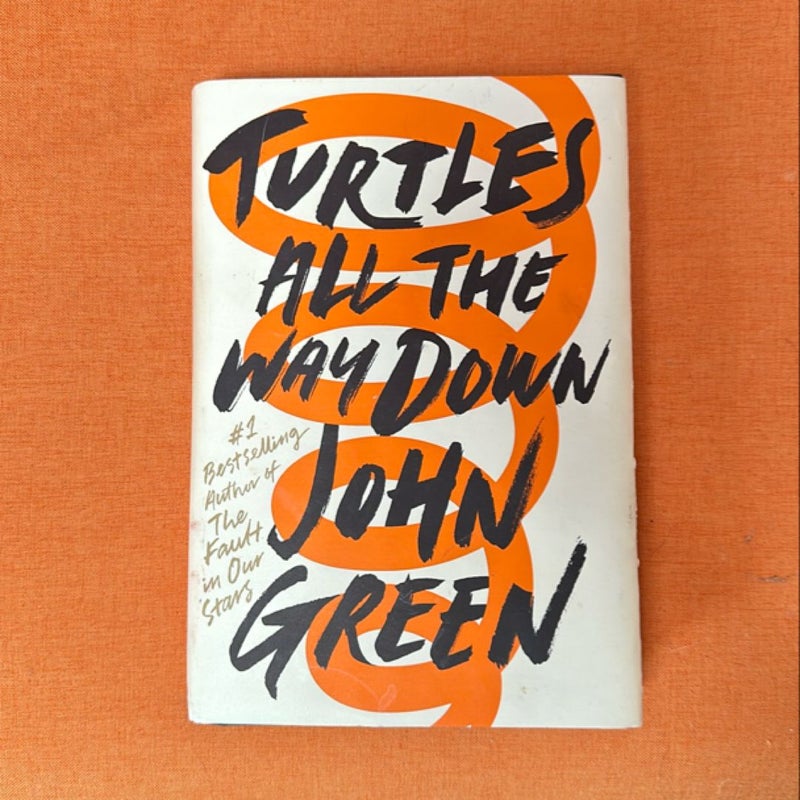 Turtles All the Way Down