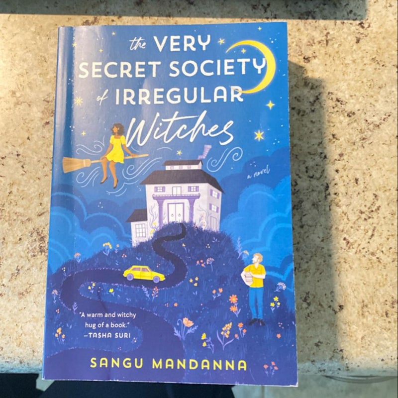 The Very Secret Society of Irregular Witches