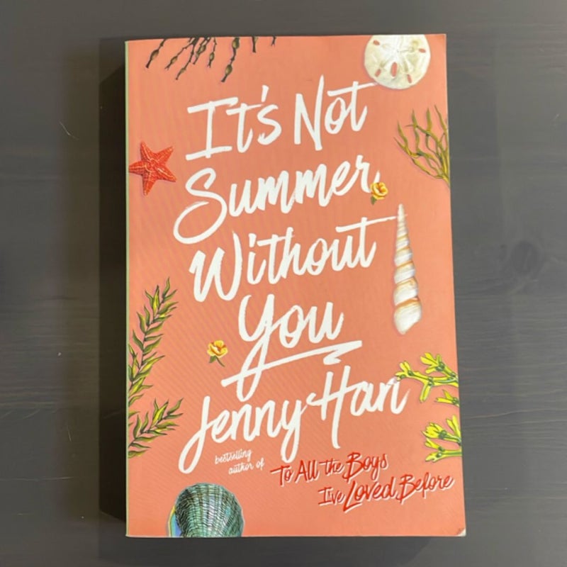 It's Not Summer Without You