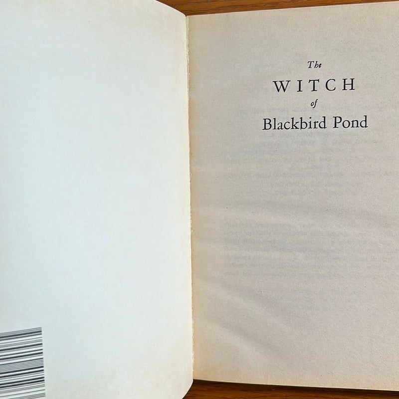 The Witch of Blackbird Pond (vintage)