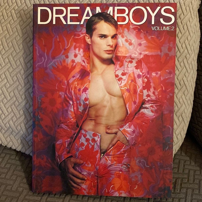 Dreamboys Volume 2