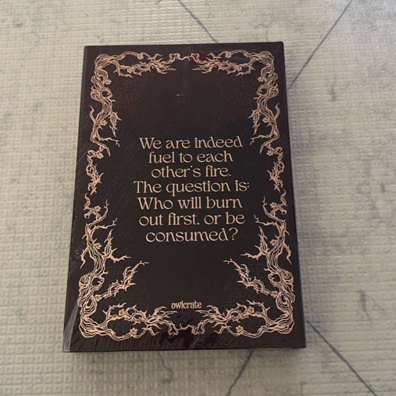 Exquisite Ruin (Owlcrate Romantasy Special Edition)