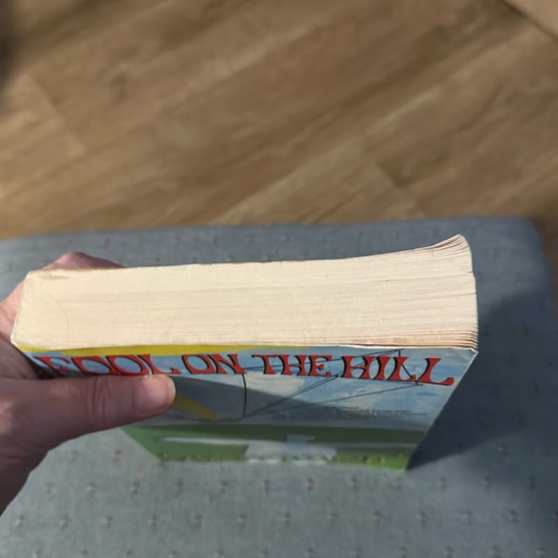 Fool on the Hill by Matt Ruff, Paperback | Pangobooks