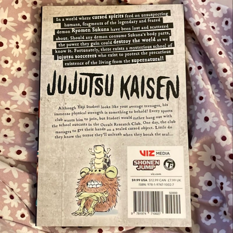 Jujutsu Kaisen, Vol. 1