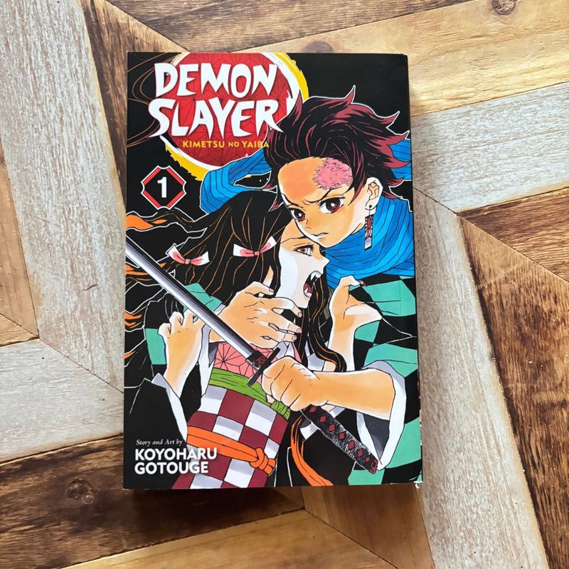 Demon Slayer: Kimetsu No Yaiba, Vol. 1