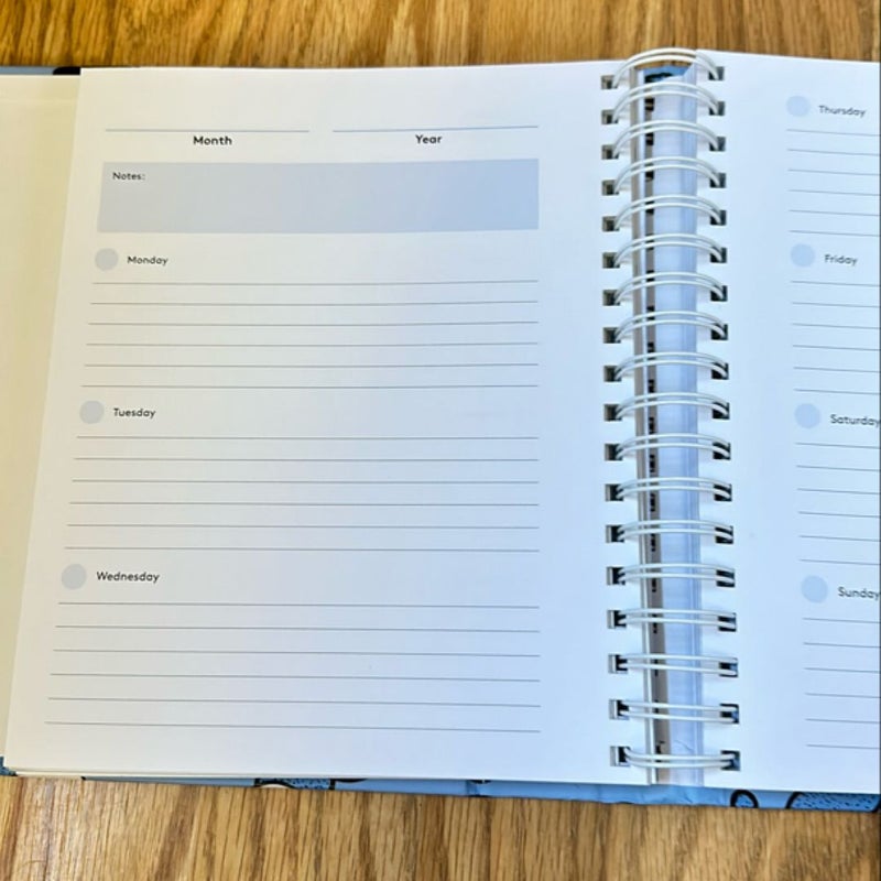 The Ideal Planner