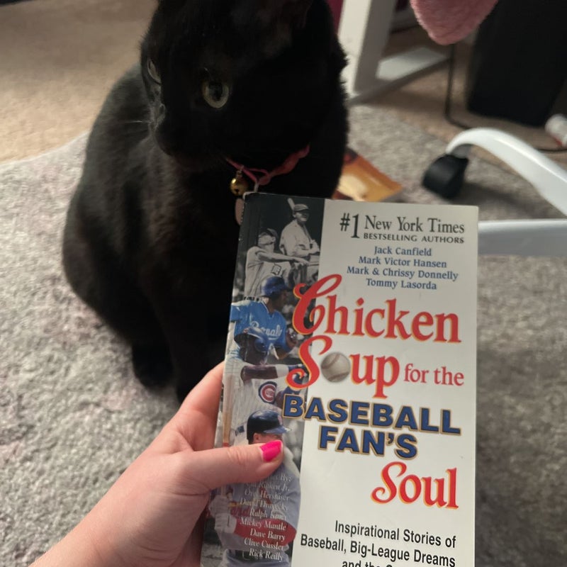 Chicken Soup for the Baseball Fan's Soul