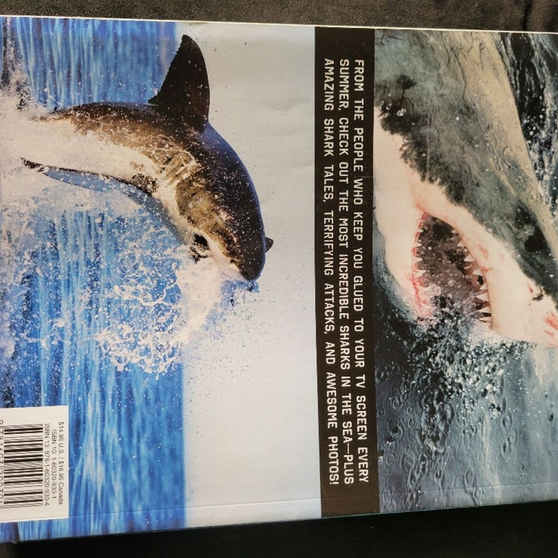 The Big Book of Sharks