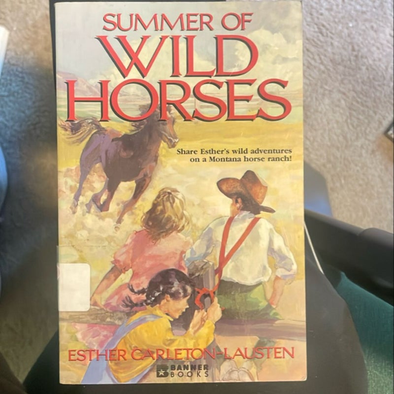 Summer of the Wild Horses