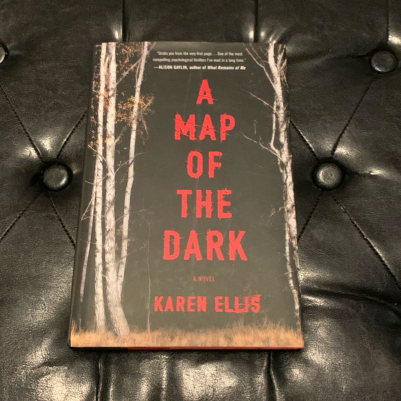 A Map of the Dark (New)