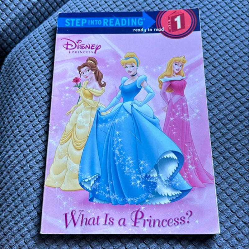 Disney Princesses: What is a Princess? 