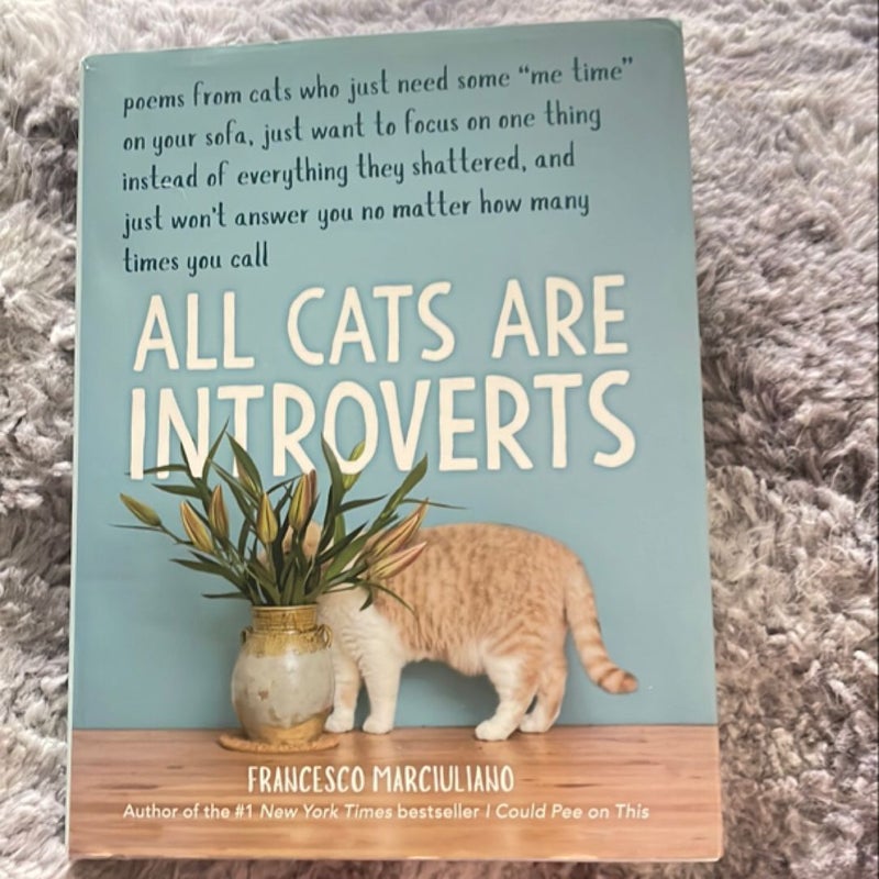 All Cats Are Introverts