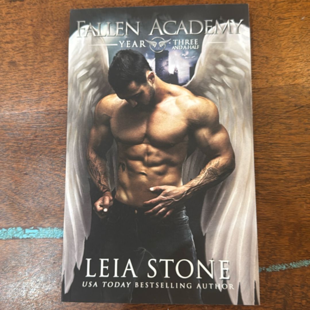 Fallen Academy: Year Three and a Half