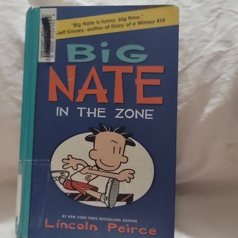 Big Nate: in the Zone