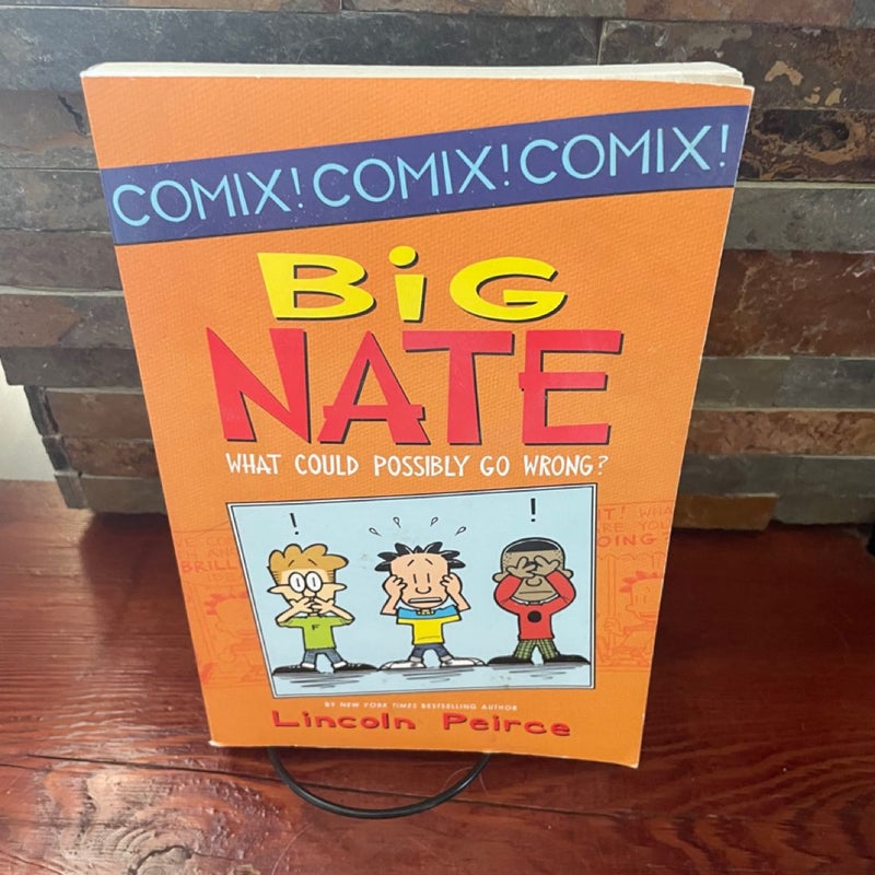 Big Nate: What Could Possibly Go Wrong?