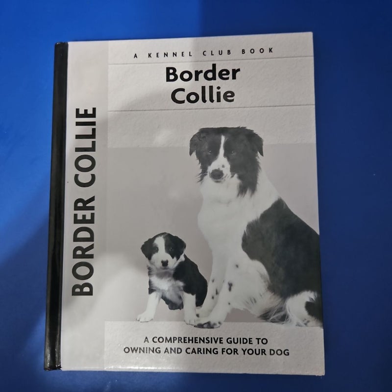 Border Collie