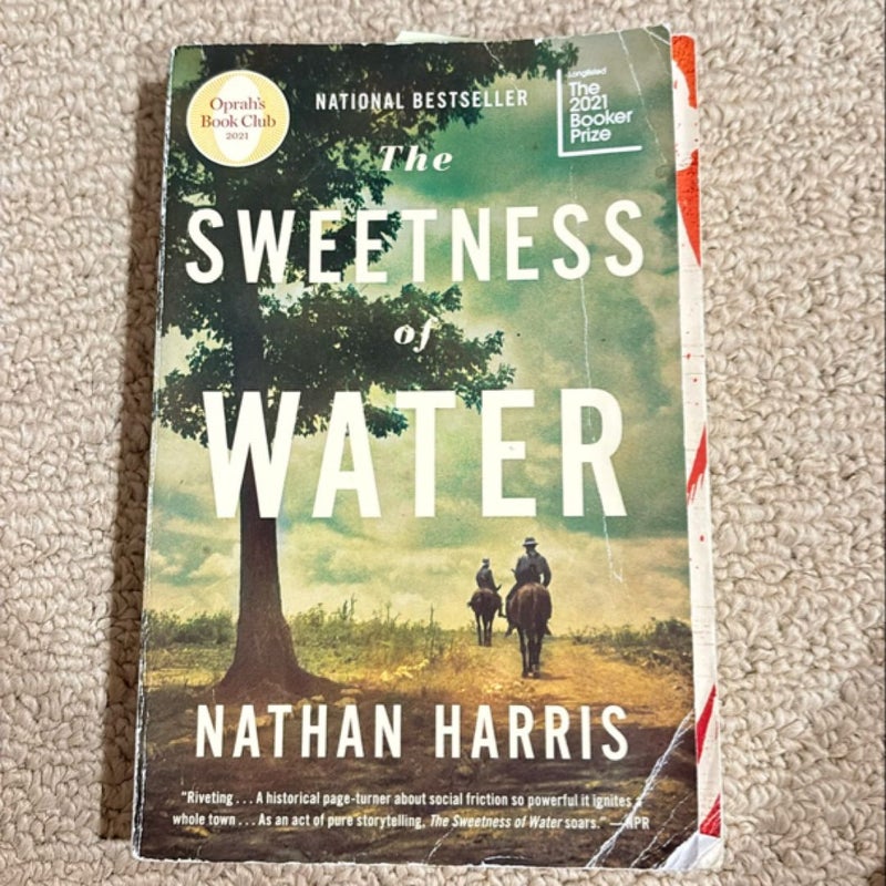 The Sweetness of Water (Oprah's Book Club)