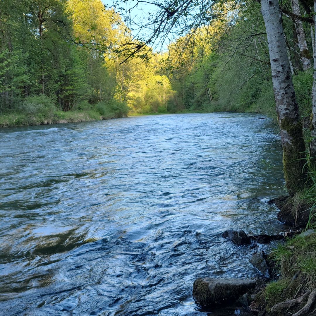 Bramble Creek Books
