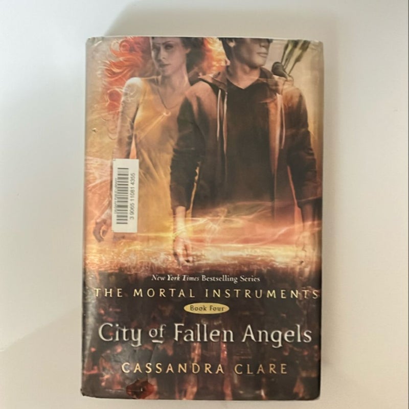 City of Fallen Angels