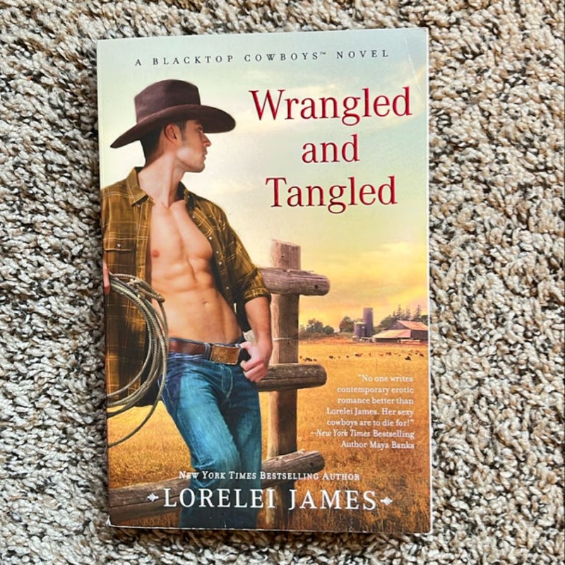 Wrangled and Tangled