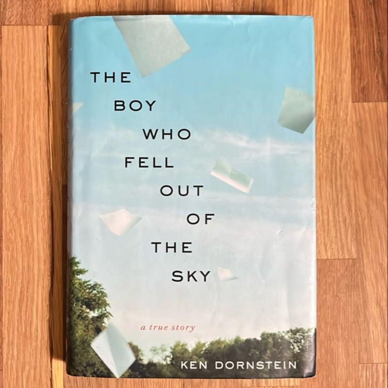 The Boy Who Fell Out of the Sky