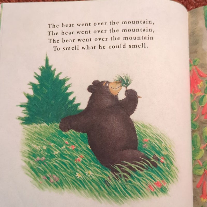 The Bear Went over the Mountain