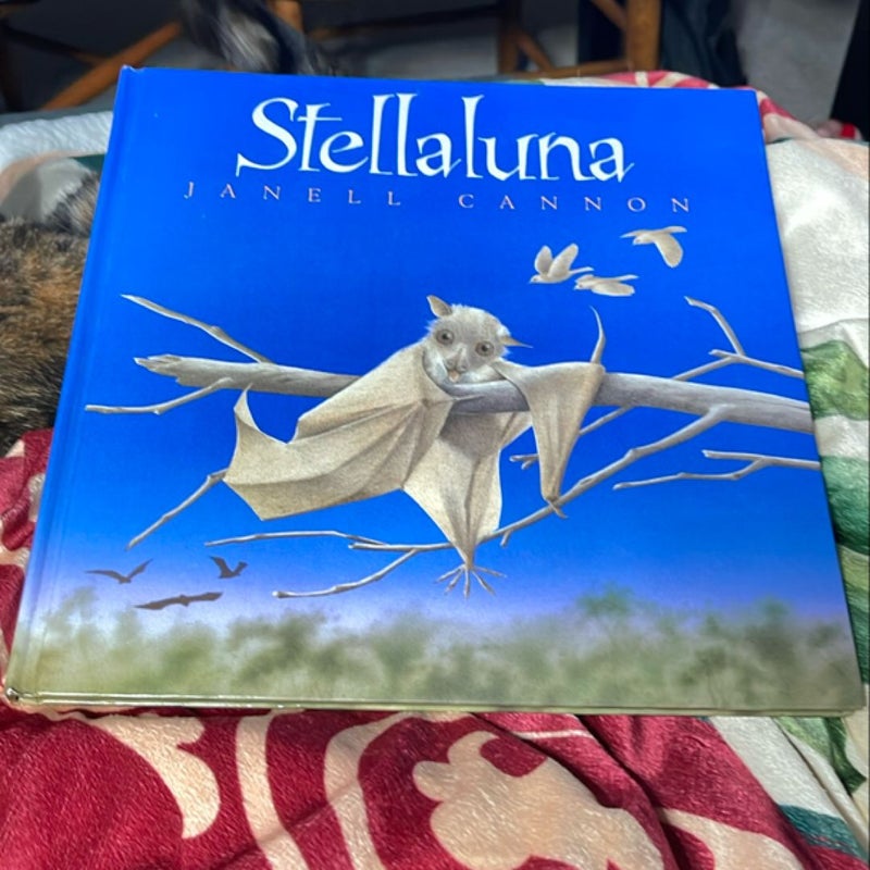 Stellaluna