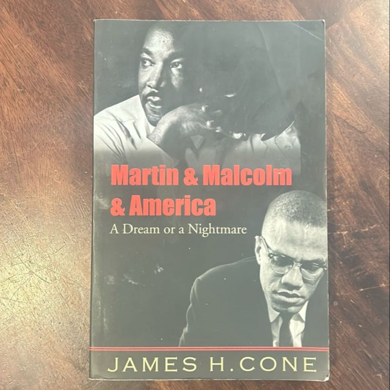 Martin and Malcolm and America