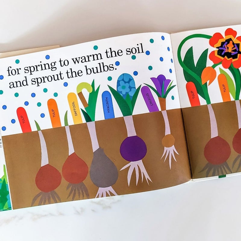 Planting a Rainbow **SIGNED BY LOIS EHLERT**