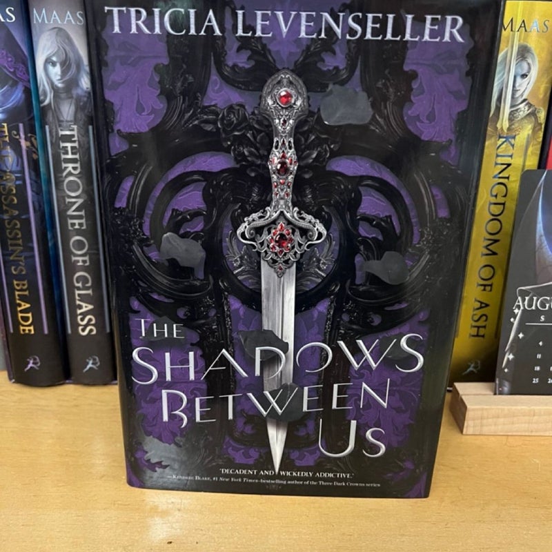 The shadow between us Fairyloot 