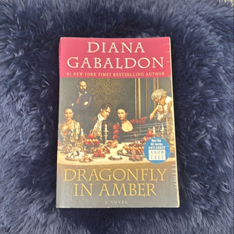 Dragonfly in Amber, TV Tie-In