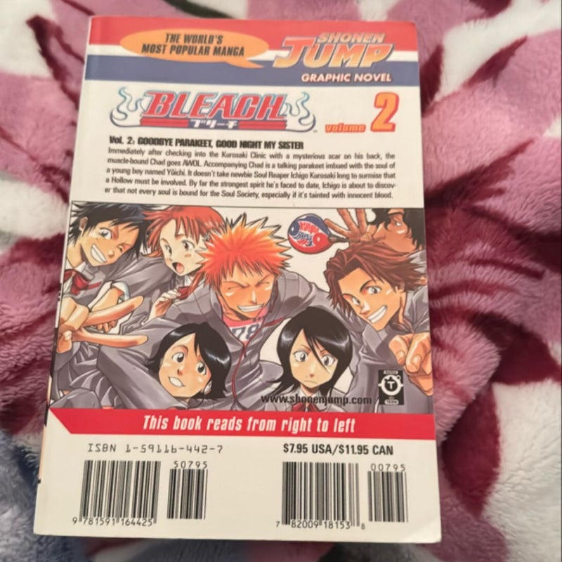 Bleach, Vol. 2