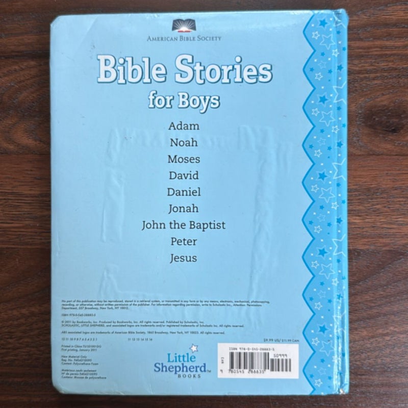 Bible Stories for Boys