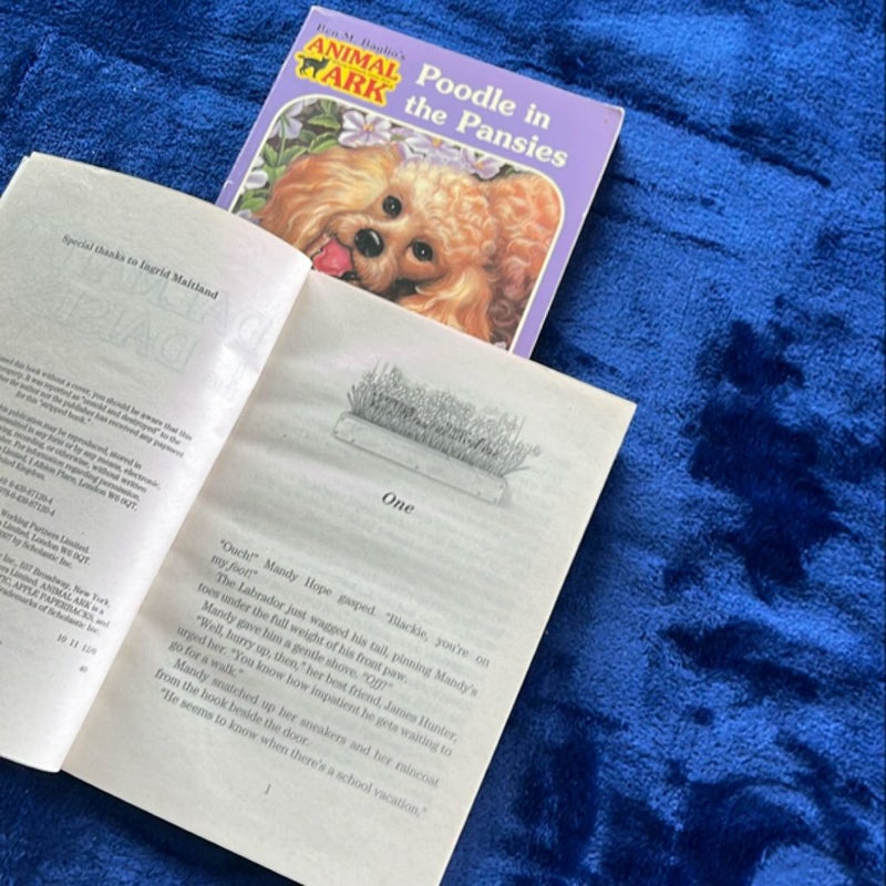 BOOK BUNDLE: Dalmatian in the Daisies and Poodle in the Pansies