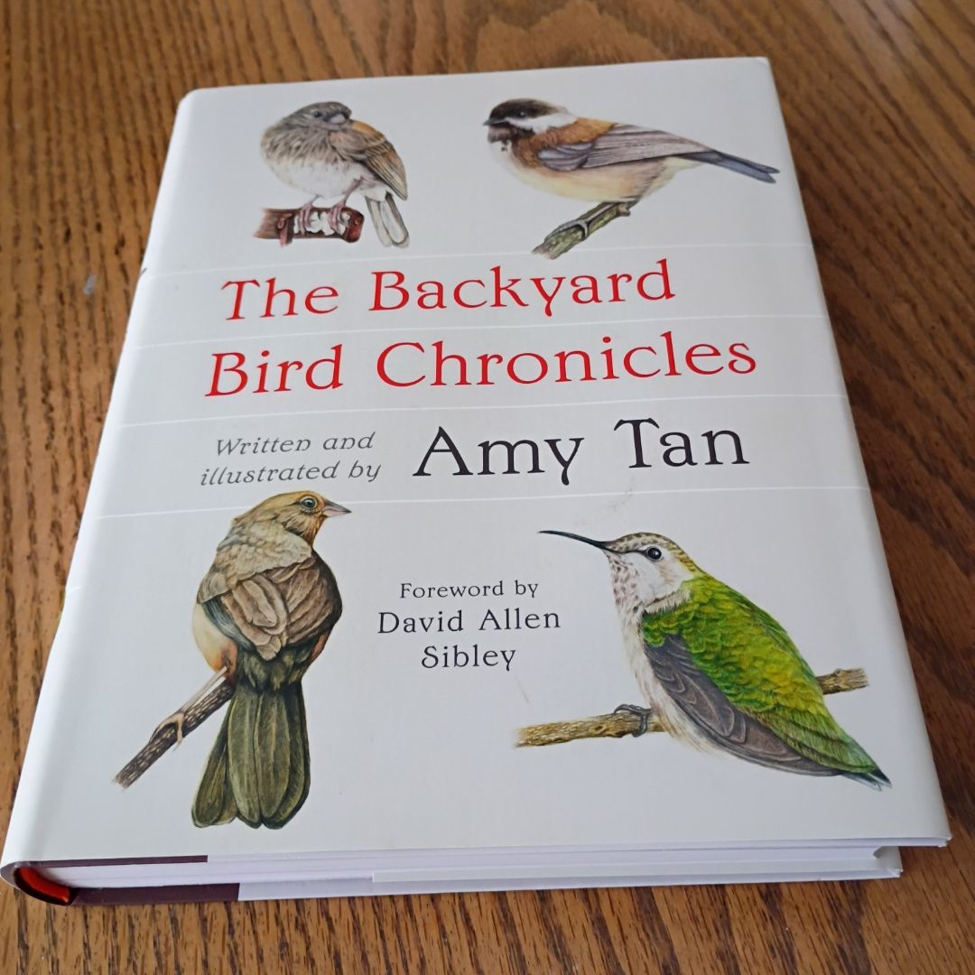 The Backyard Bird Chronicles